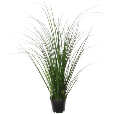 Louis Maes Quality kunstplant - Siergras bush - donkergroen - H55 cm product