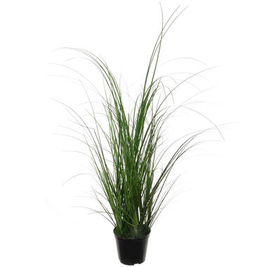 Louis Maes Quality kunstplant - Siergras bush - donkergroen - H65 cm product