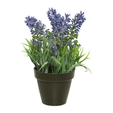 Kaemingk Kunstplant - lavendel - paars - 17 cm - in pot product