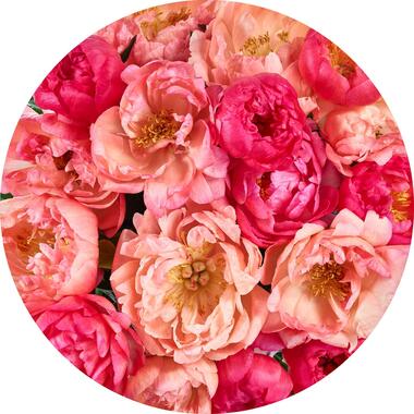 Sanders & Sanders zelfklevende behangcirkel - bloemen - roze - Ø 125 cm - 611805 product