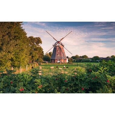 Sanders & Sanders fotobehang - landschap - groen en blauw - 450 x 280 cm product