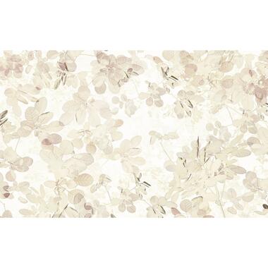 Sanders & Sanders fotobehang - bladeren - beige en wit - 400 x 250 cm - 611912 product