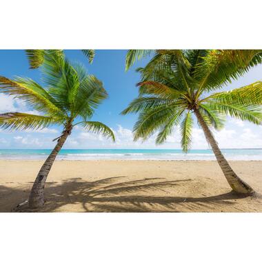 Sanders & Sanders fotobehang - Caribisch strand - groen en blauw - 450 x 280 cm product