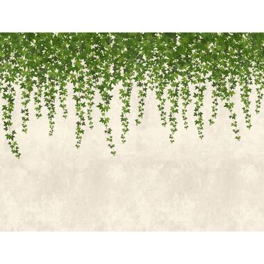 One Wall one Role fotobehang - tropische bladeren - groen en grijs product