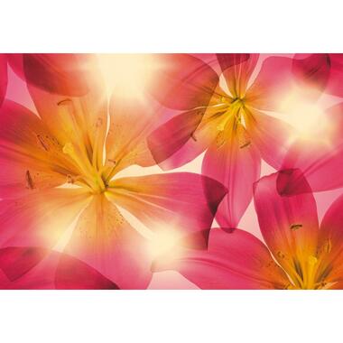 Sanders & Sanders fotobehang - bloemen - roze en geel - 368 x 254 cm - 612258 product