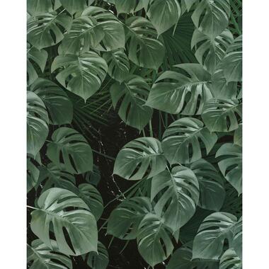 Sanders & Sanders fotobehang - jungle - groen - 200 x 250 cm - 612362 product