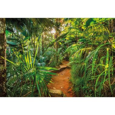 Sanders & Sanders fotobehang - jungle - groen - 368 x 254 cm - 612138 product