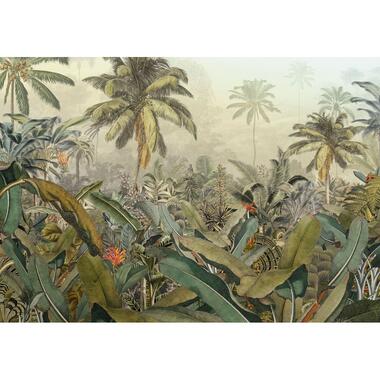 Komar fotobehang - jungle - groen - 4 x 2,80 m - 612805 product