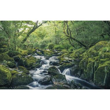 Sanders & Sanders fotobehang - landschap - groen - 400 x 250 cm - 612520 product