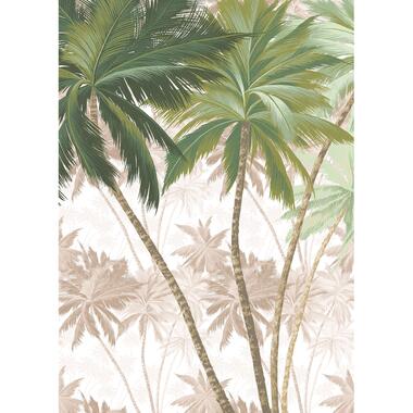 Sanders & Sanders fotobehang - jungle - groen en beige - 200 x 280 cm - 612406 product