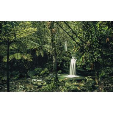 Sanders & Sanders fotobehang - jungle - groen - 400 x 250 cm - 612533 product