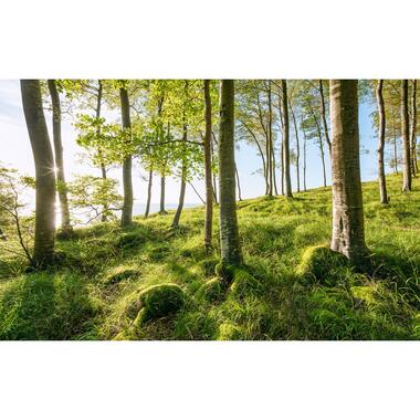 Sanders & Sanders fotobehang - landschap - groen en blauw - 450 x 280 cm product