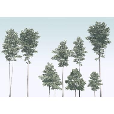 Sanders & Sanders fotobehang - bomen - groen en blauw - 400 x 280 cm - 612447 product