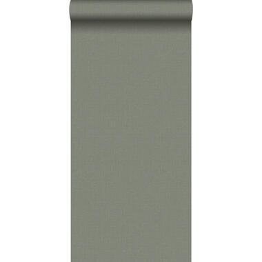 Walls4You behang - effen - groen grijs - 0,53 x 10,05 m - 935343 product