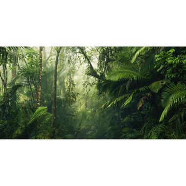 Sanders & Sanders fotobehang - jungle - groen - 500 x 250 cm - 612393 product