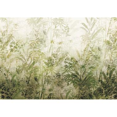 Sanders & Sanders fotobehang - jungle - olijfgroen - 400 x 280 cm - 612459 product