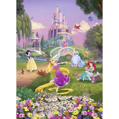 Sanders & Sanders fotobehang - Disney prinsessen - multicolor - 184 x 254 cm product