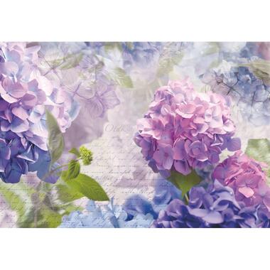 Sanders & Sanders fotobehang - bloemen - paars en blauw - 368 x 254 cm - 612243 product