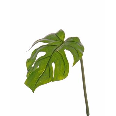 Monstera - kunstplant blad/tak - van 55 cm product