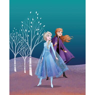 Komar poster - Frozen Anna & Elsa - blauw en paars - 40 x 50 cm - 610153 product