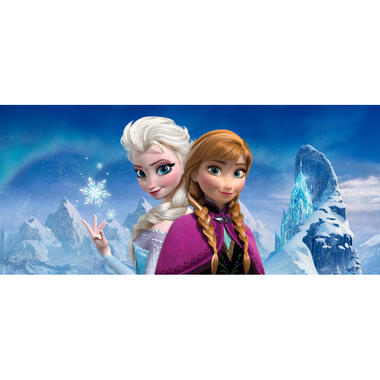 Disney poster - Frozen Anna & Elsa - blauw en paars - 202 x 90 cm - 600889 product