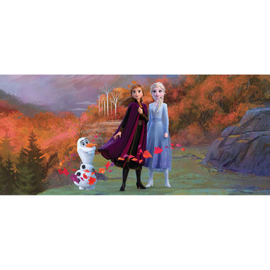 Disney poster - Frozen Anna & Elsa - blauw, paars en oranje - 202 x 90 cm product