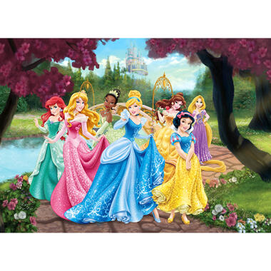 Disney poster - prinsessen - roze, geel en blauw - 160 x 110 cm - 600655 product