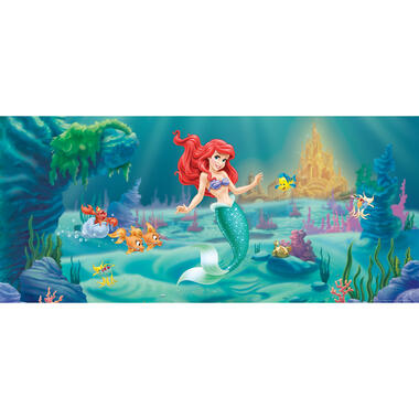 Disney poster - Ariel - De kleine zeemeermin - groen, blauw en rood product