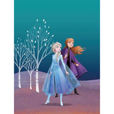 Komar poster - Frozen Anna & Elsa - blauw en paars - 30 x 40 cm - 610152 product