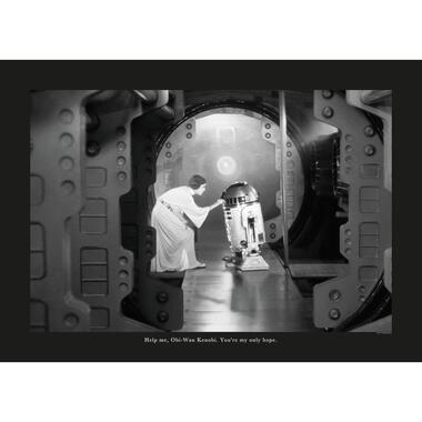 Komar poster - Star Wars Classic Leia R2D2 Quote - zwart wit - 70 x 50 cm product