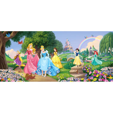 Disney poster - prinsessen - groen, blauw en roze - 202 x 90 cm - 600897 product