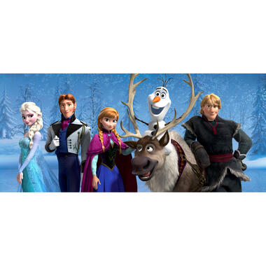 Disney poster - Frozen - blauw en paars - 202 x 90 cm - 600903 product