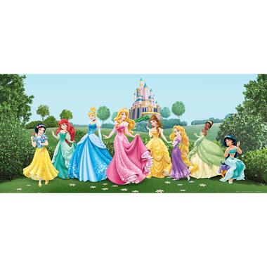 Disney poster - prinsessen - groen, blauw en roze - 202 x 90 cm - 600873 product