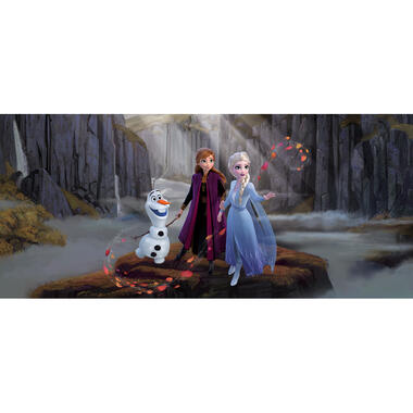 Disney poster - Frozen Anna & Elsa - blauw, paars en bruin - 202 x 90 cm product