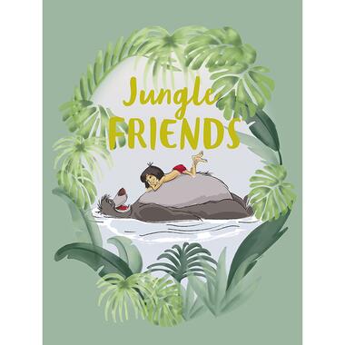 Sanders & Sanders poster - jungle book - groen - 30 x 40 cm - 612708 product