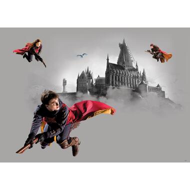 Sanders & Sanders poster - Harry Potter Zweintstein - grijs en rood product