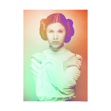 Sanders & Sanders poster - Star Wars Classic Icons Color Leia - oranje en groen product