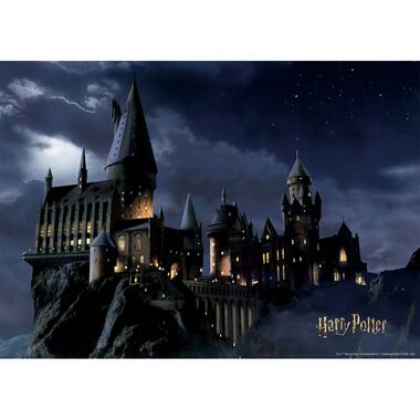 Sanders & Sanders poster - Harry Potter Zweintstein - zwart en donkerblauw product