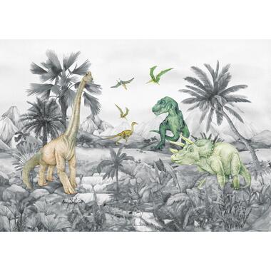 Sanders & Sanders poster - dinosaurussen - grijs - 1.1 x 1.55 m - 601243 product