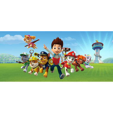 Sanders & Sanders poster - PAW patrol - blauw en groen - 202 x 90 cm - 600910 product