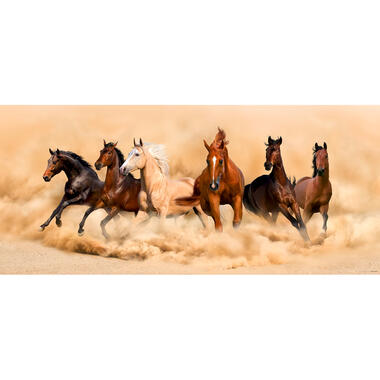 Sanders & Sanders poster - paarden - beige en bruin - 202 x 90 cm - 600935 product