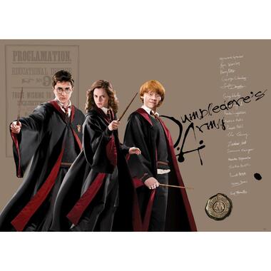 Sanders & Sanders poster - Harry Potter, Hermelien Griffel, Ron Wemel product