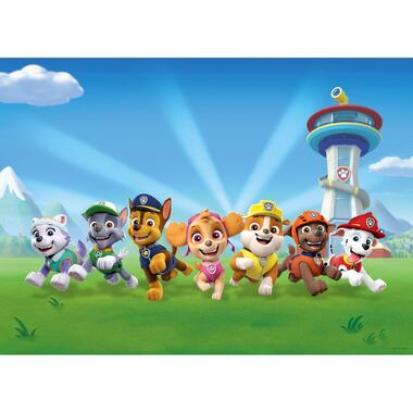 Sanders & Sanders poster papier - PAW patrol - groen en blauw - 2,52 x 1,82 m product