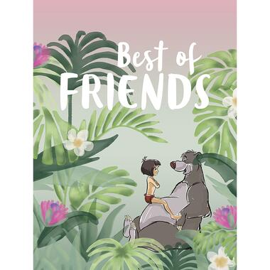 Sanders & Sanders poster - jungle book - groen en roze - 30 x 40 cm - 611713 product