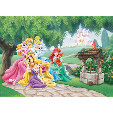 Disney poster - prinsessen - groen, geel en roze - 160 x 110 cm - 600660 product