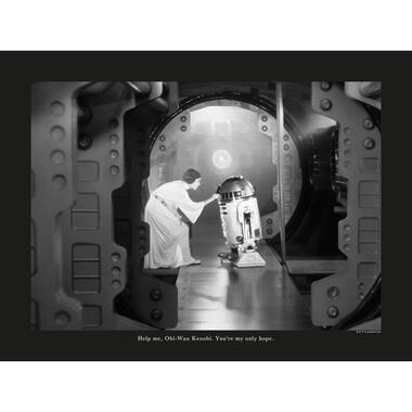 Komar poster - Star Wars Classic Leia R2D2 Quote - zwart wit - 40 x 30 cm product