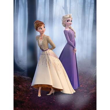 Komar poster - Frozen - multicolor - 30 x 40 cm - 610140 product