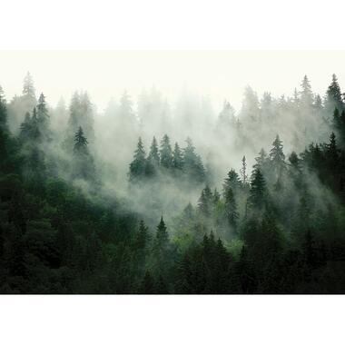 Sanders & Sanders poster - berglandschap met bomen - groen - 1.1 x 1.55 m product