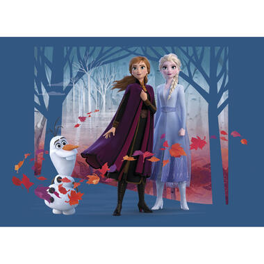 Disney poster - Frozen Anna & Elsa - blauw, paars en oranje - 160 x 110 cm product