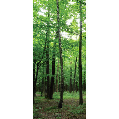 Sanders & Sanders poster - bosrijk landschap - groen - 90 x 202 cm - 600829 product